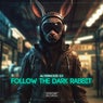 Follow The Dark Rabbit