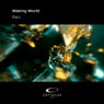 Waking World