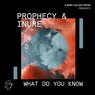 What Do You Know (Extended Mix)
