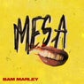 M.E.S.A. Part 1