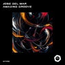 Amazing Groove