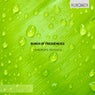 Raindrops /Remixes/