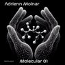 Molecular 01
