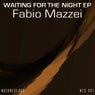 Waiting for the Night - EP