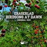Birdsong At Dawn