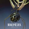 BRV007