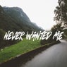 Never Wanted Me