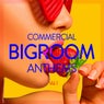 Commercial Bigroom Anthems, Vol. 1