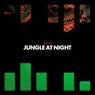 Jungle At Night