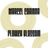 Flower Blossom