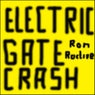 Electric Gate Crash