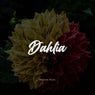 Dahlia