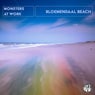 Bloemendaal Beach (Original Mix)