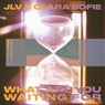 What Are You Waiting For - Extended Mix