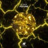 Future (Extended Mix)
