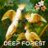 Ame Ame Amazonia