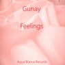Feelings