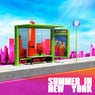 Summer In New York / Larry Bird (Extended Mixes)