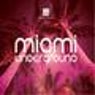 Miami Underground (The Past)