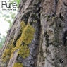 Pure - Single