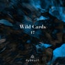 Wild Cards 17