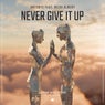 Never Give It Up (feat. Heidi Albert) (Extended Mix)