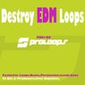 Destroy EDM Loops