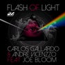 Flash of Light (feat. Joe Bloom)