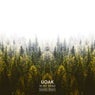 In My Mind (Damaui & Sick Trumpet Remix)