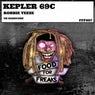 Kepler 69C
