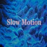 Slow Motion