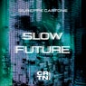 Slow Future