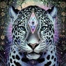 Drancer (Mixes)