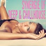 Synergie of Deep & Chillhouse