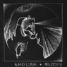 Spleen2