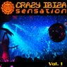 Crazy Ibiza Sensation, Vol.1 (Best Selection of House and Tech House Tracks)