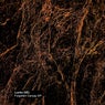 Forgotten Canopy EP