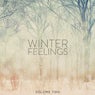 Winter Feelings, Vol. 2 (Get In The Mood Again, Wonderful Deep House Tunes For A Chilled Day At Home)