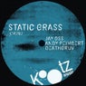 Static Grass
