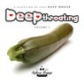 Deep Throating - A Selection of Sexy Deep House (Volume 1)