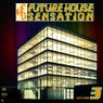Future House Sensation, Vol. 3 (Best of House Tracks)