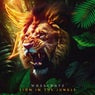 Lion In The Jungle - Extended Mix