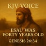 Esau Was Forty Years Old