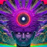 Triploop