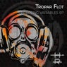 Eclipsing Variables EP