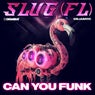 Can You Funk