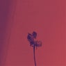 Tuanis (slowed and reverb)