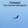 Turn the Bird 180 Degrees