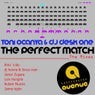 The Perfect Match ( The Mixes )