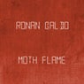 Moth Flame